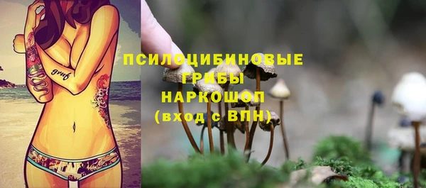 прущий лед Богородск