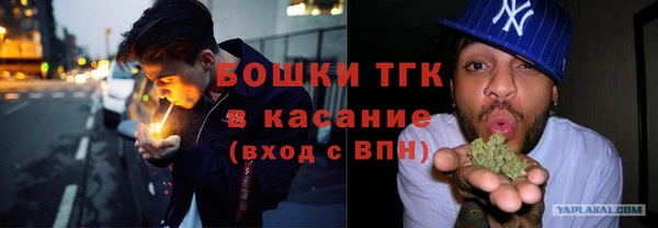 дурь Богданович