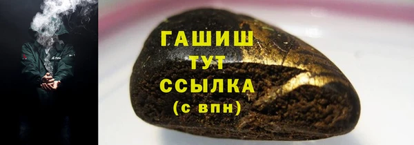 молекула духа Богородицк