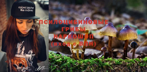 дурь Богданович