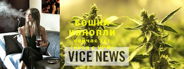 молекула духа Богородицк